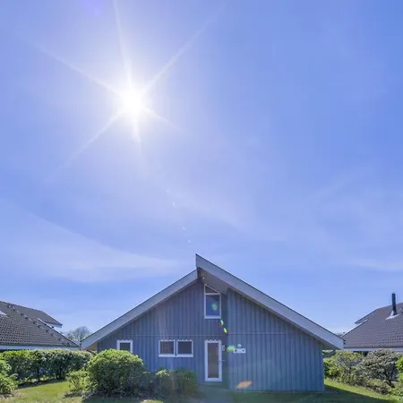 Seeschwalbe Classic 5